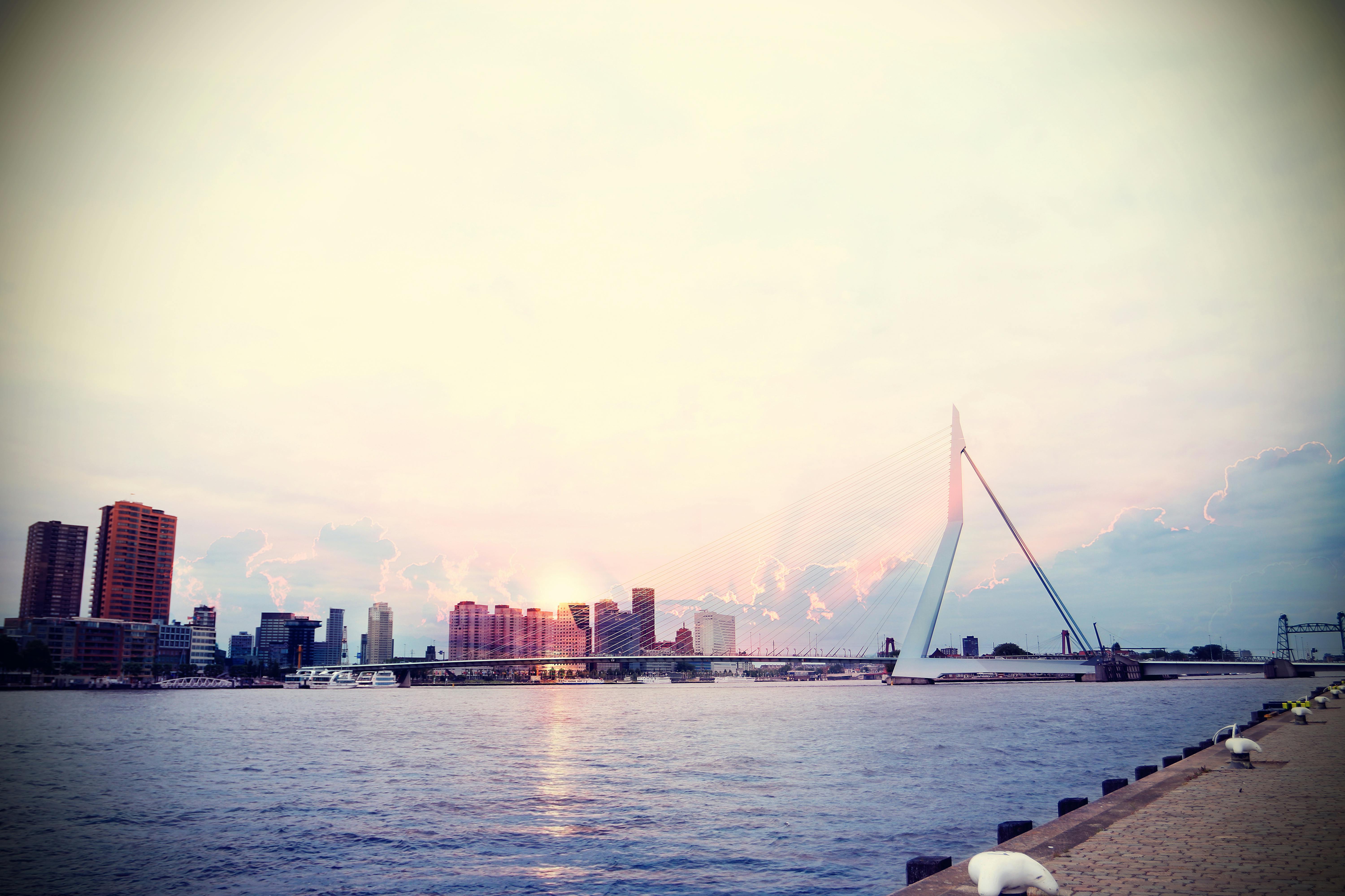 Rotterdam