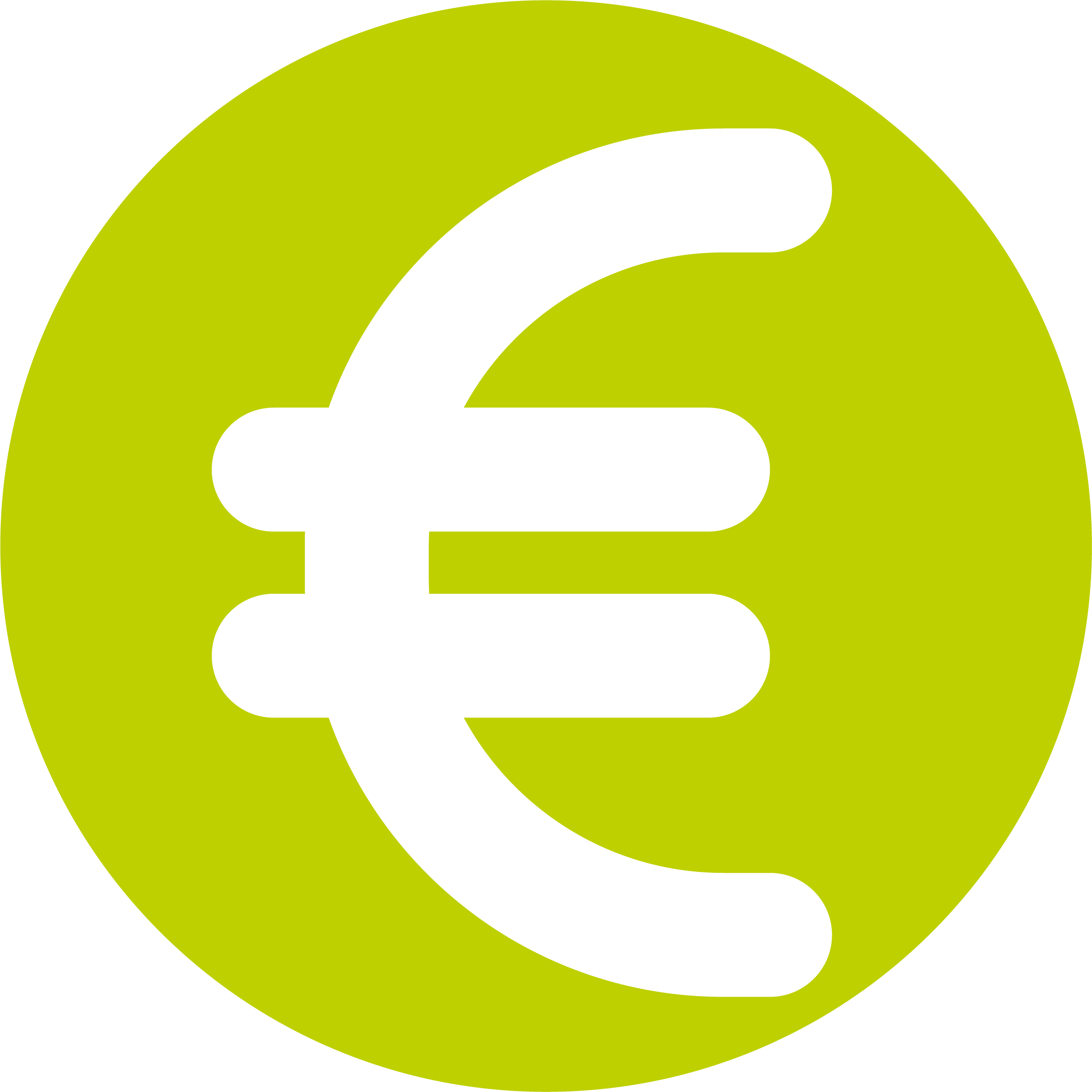 Euro icon